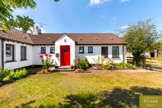 15A, Newtownards photo 5