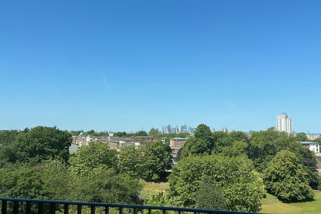 The View
