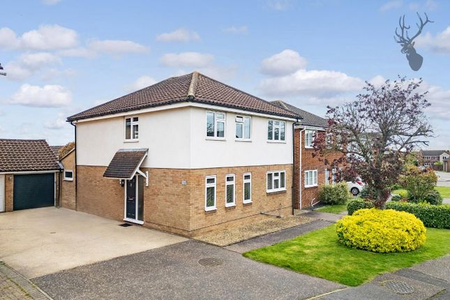 Detached house for sale in Henniker Gate, Springfield, Chelmsford