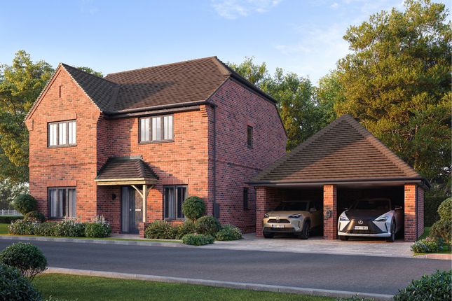 The Monkton