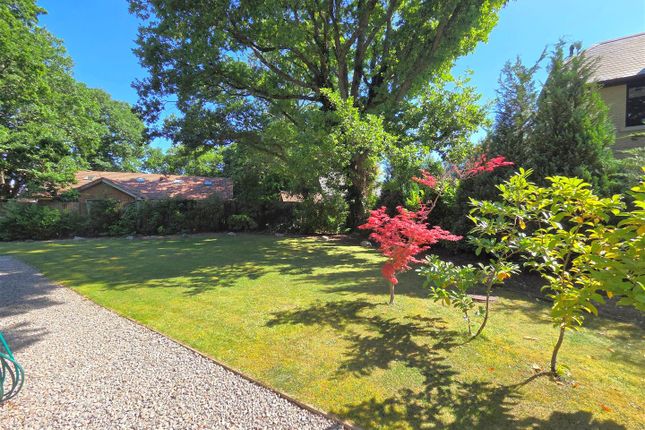 25, Fern Way, Titchfield Park photo 3