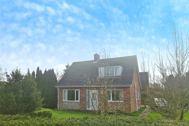 Thumbnail Detached house for sale in Greenwood Close, Ashwellthorpe, Norwich, Norfolk