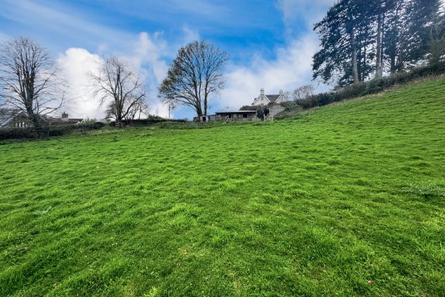 Thumbnail Equestrian property for sale in Lustleigh, Newton Abbot