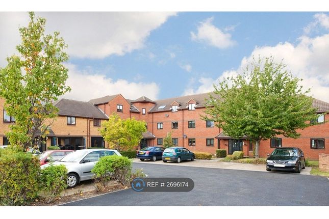 Rear Garden/Parking Area