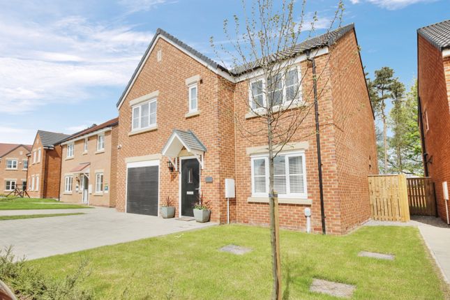 Thumbnail Detached house for sale in Chester Burn Road, Wynyard, Billingham