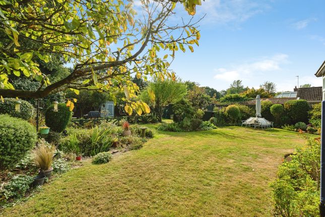 Sunnyside, Station Road, North Walsham photo 3
