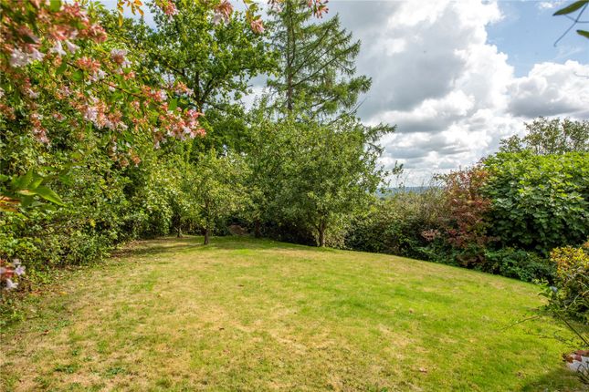 Kitlands Court,, Coldharbour, Surrey photo 4