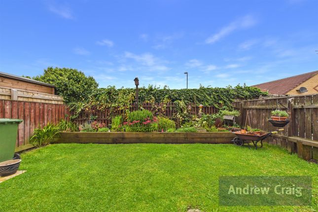 23 Witty Avenue, Hebburn photo 4