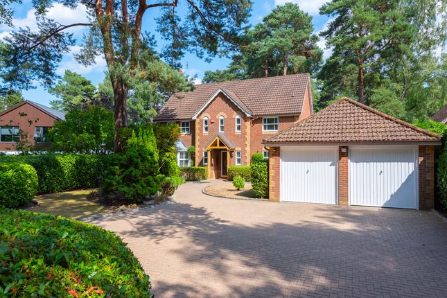 Thumbnail Detached house for sale in Hollybush Ride, Finchampstead