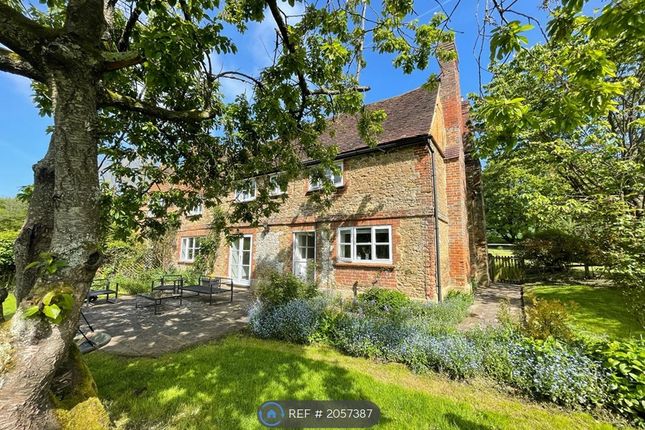 Thumbnail Semi-detached house to rent in Sandy Lane, Guildford