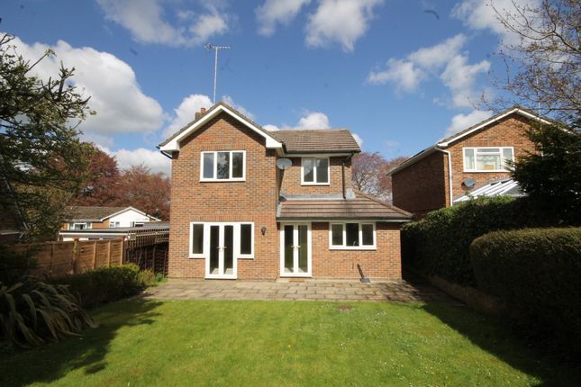 Detached house to rent in West Down, Great Bookham