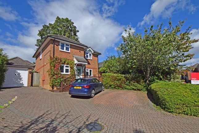 Thumbnail Detached house for sale in Bolle Road, Alton