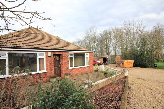 Detached bungalow to rent in Dereham Road, Norwich NR2