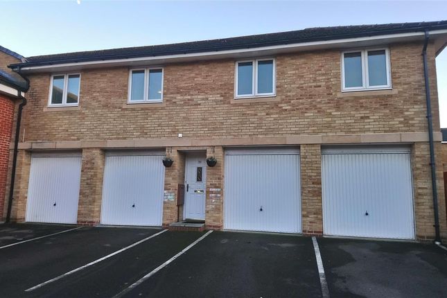 Thumbnail Property to rent in Padstow Road, Swindon