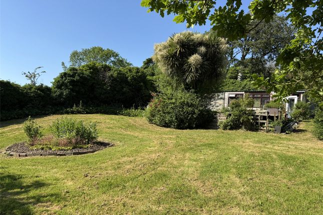 Little Trenewth,, Michaelstow, Bodmin photo 2