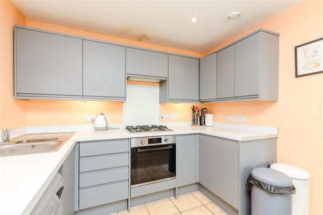 Lounge/Kitchen