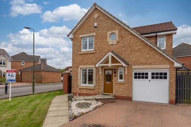 Thumbnail Detached house for sale in Bryson Place, Larbert