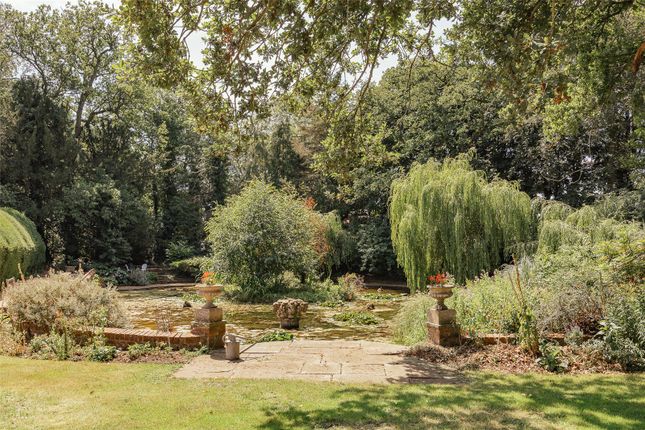 Grounds