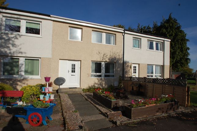 Thumbnail Terraced house for sale in South Green Drive, Falkirk