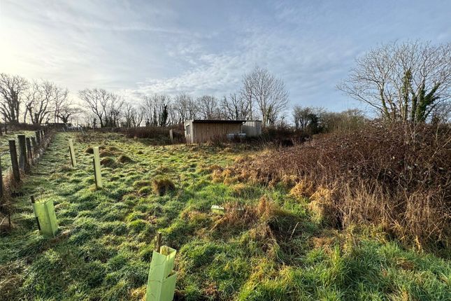 Land for sale in Thornbury, Holsworthy