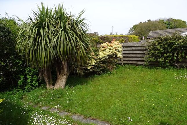 Bungalow for sale in The Paddock, Redruth - Ideal First Home, Chain Free