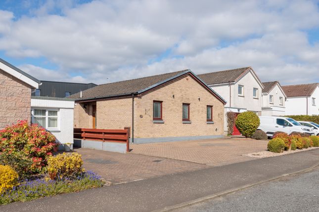 13, Smithfield Crescent, Blairgowrie photo 4