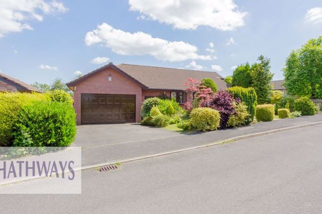 Thumbnail Detached bungalow for sale in Orchid Court, Ty Canol, Cwmbran
