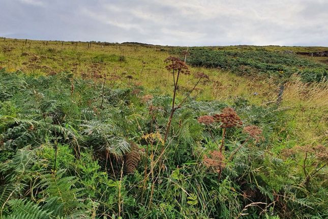 Land for sale in 2 Plots At Trumpan, Waternish, Isle Of Skye