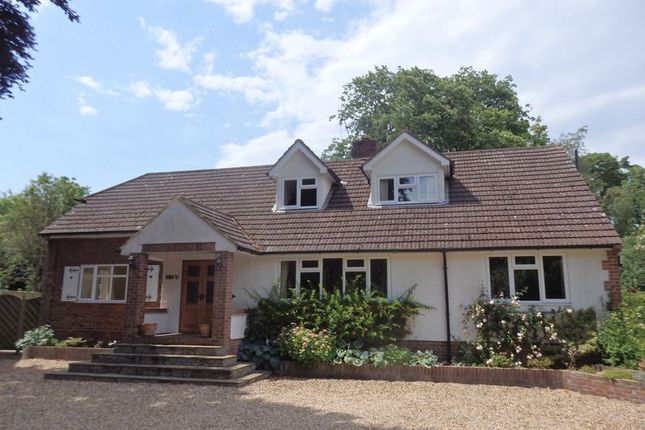 Thumbnail Detached house to rent in Burgh Heath Road, Epsom