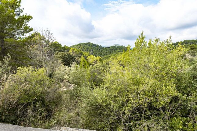 Land for sale in Spain, Mallorca, Puigpunyent, Galilea