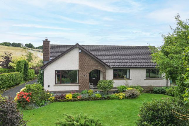 Thumbnail Detached bungalow for sale in Watch Hill Road, Ballyclare