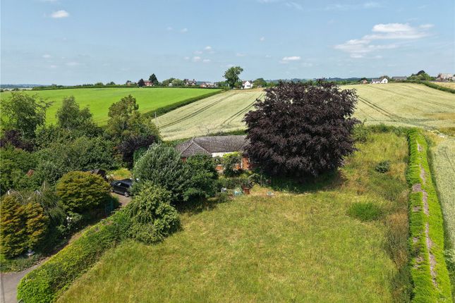 Elsdon,, Burley Gate, Herefordshire photo 2