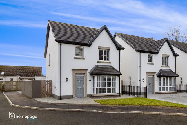 Thumbnail Detached house for sale in 16 Moncrief, Eglinton, Derry