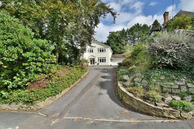 10, Aldridge Road, Ferndown photo 3