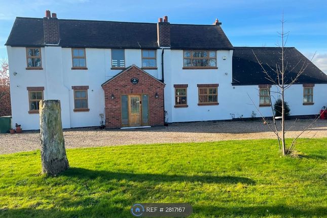 Alfrace, Newton Lane Wigston, Leicester photo 3