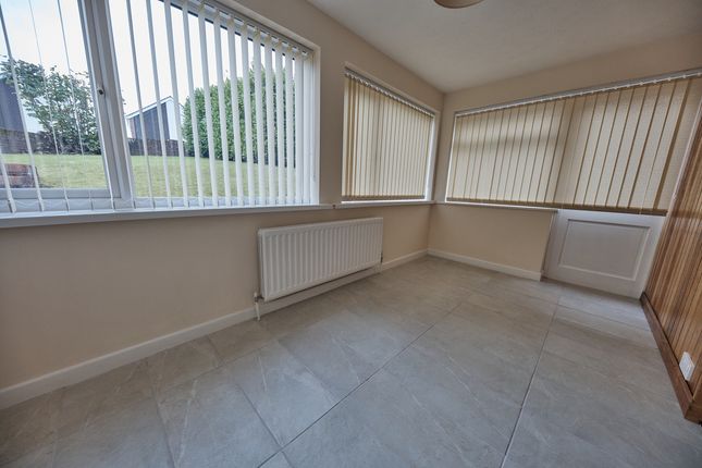 7, Swansea photo 4