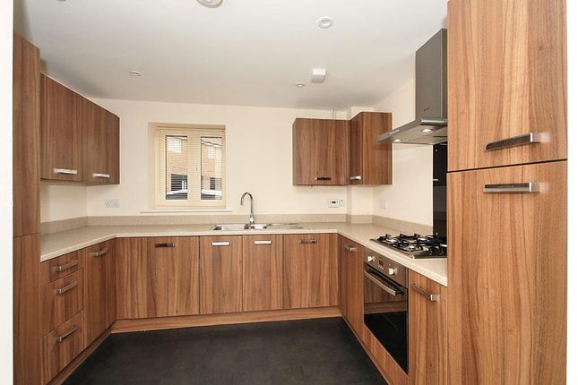 Elm-Kitchen.Jpg