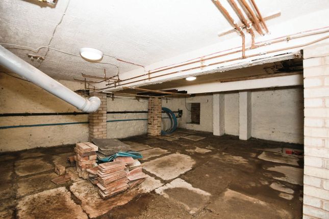 Salon - Cellar 02.Jpg