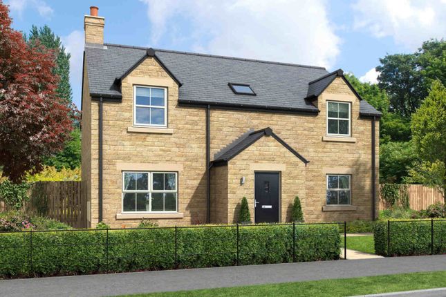 Thumbnail Detached house for sale in Brinkburn Place, Morpeth, Northumberland