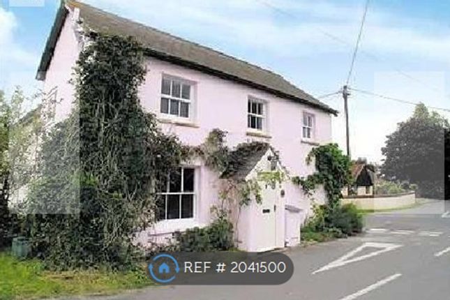 Thumbnail Semi-detached house to rent in Cross House, Buckland Newton, Dorchester