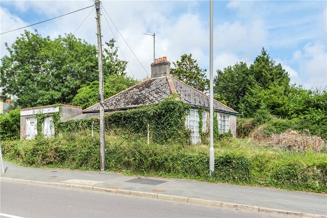 Thumbnail Bungalow for sale in Kings Head Hill, Bridport