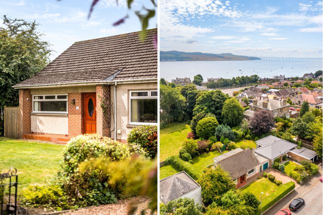 20 Albert Road, Dundee photo 2