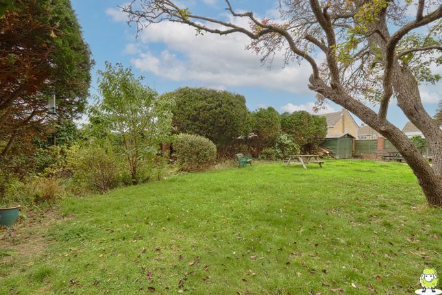 39, BURDON ROAD, SUNDERLAND photo 4