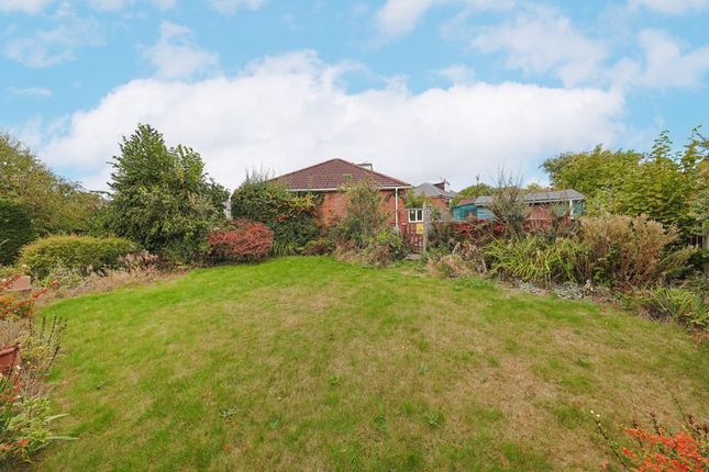 11, Speighthill Crescent, Chesterfield photo 3