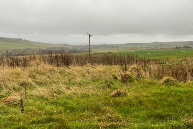 Crofters Cottage, Crofters Cottage, Latheron photo 5