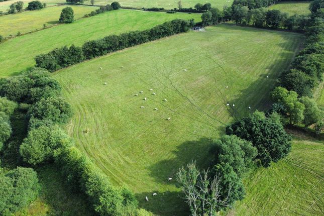 Dji_Fly_20240731_092246_537_1722414258236_Photo_Op