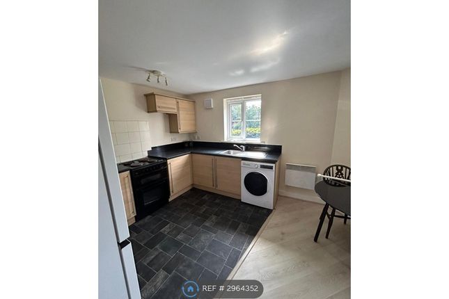 Waltheof Road, Sheffield photo 3