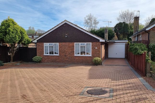 Detached bungalow for sale in Penhurst Drive, Bexhill-On-Sea