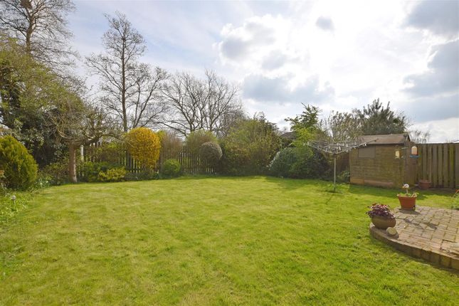 Detached house to rent in Morland Close, Hampton