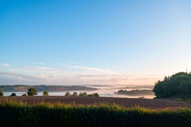 George Hill Reservoir, Higher Road, Crediton photo 4